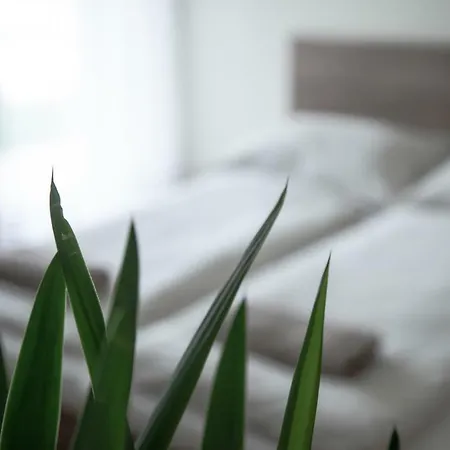 Apartmán Pisztacia Apartman *