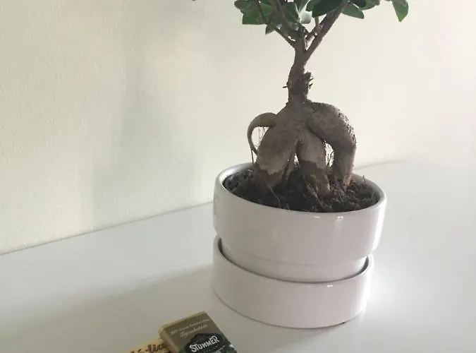 Pisztacia Apartman דירה אגר