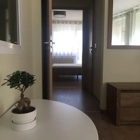 Apartman Pisztácia Apartman *